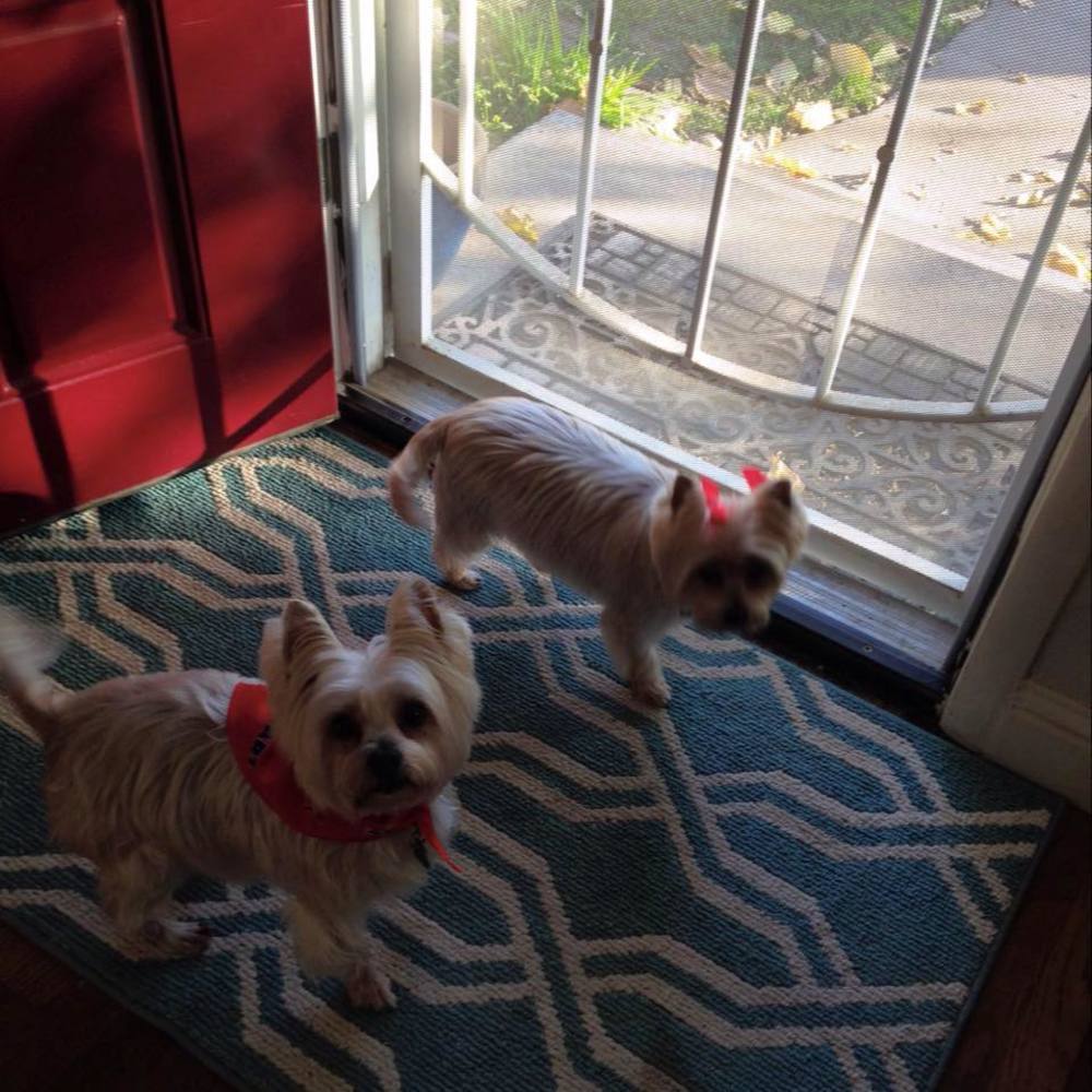 Meet your Posher, Bobbi